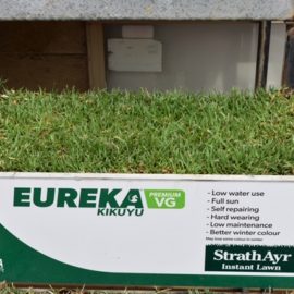 StrathAyr Eureka Kikuyu Premium